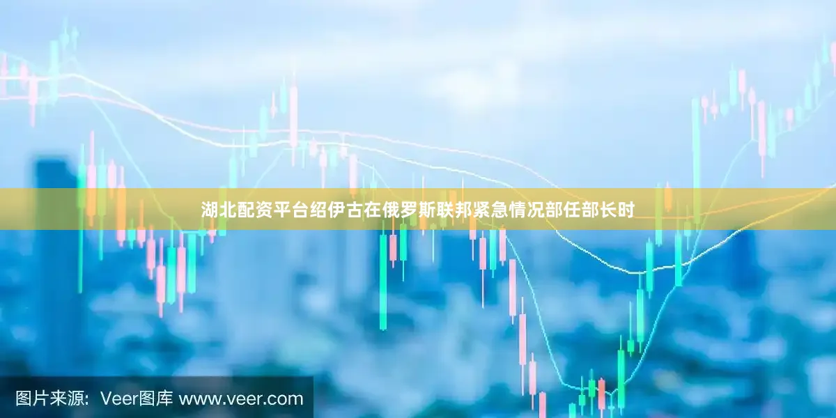 湖北配资平台绍伊古在俄罗斯联邦紧急情况部任部长时