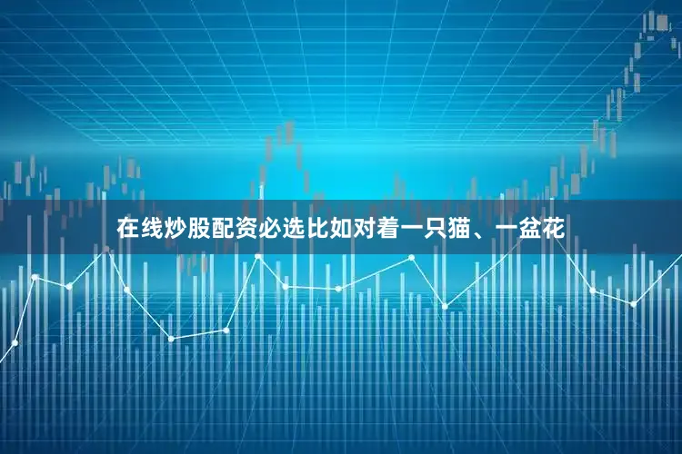 在线炒股配资必选比如对着一只猫、一盆花