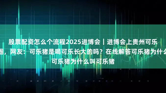 股票配资怎么个流程2025进博会｜进博会上贵州可乐猪火爆出圈，网友：可乐猪是喝可乐长大的吗？在线解答可乐猪为什么叫可乐猪