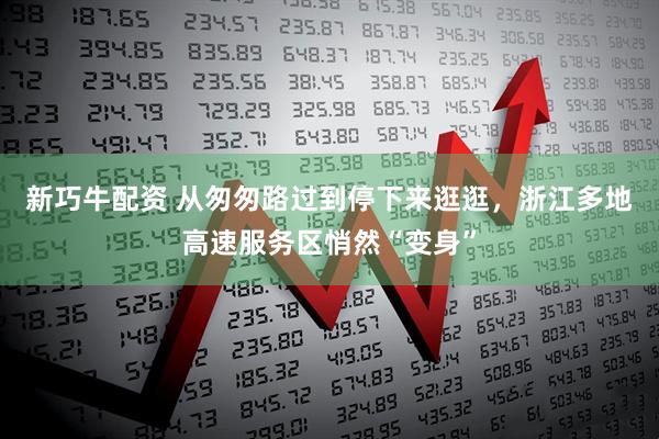新巧牛配资 从匆匆路过到停下来逛逛，浙江多地高速服务区悄然“变身”